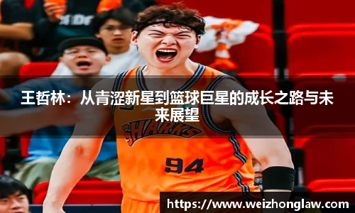 王哲林：从青涩新星到篮球巨星的成长之路与未来展望